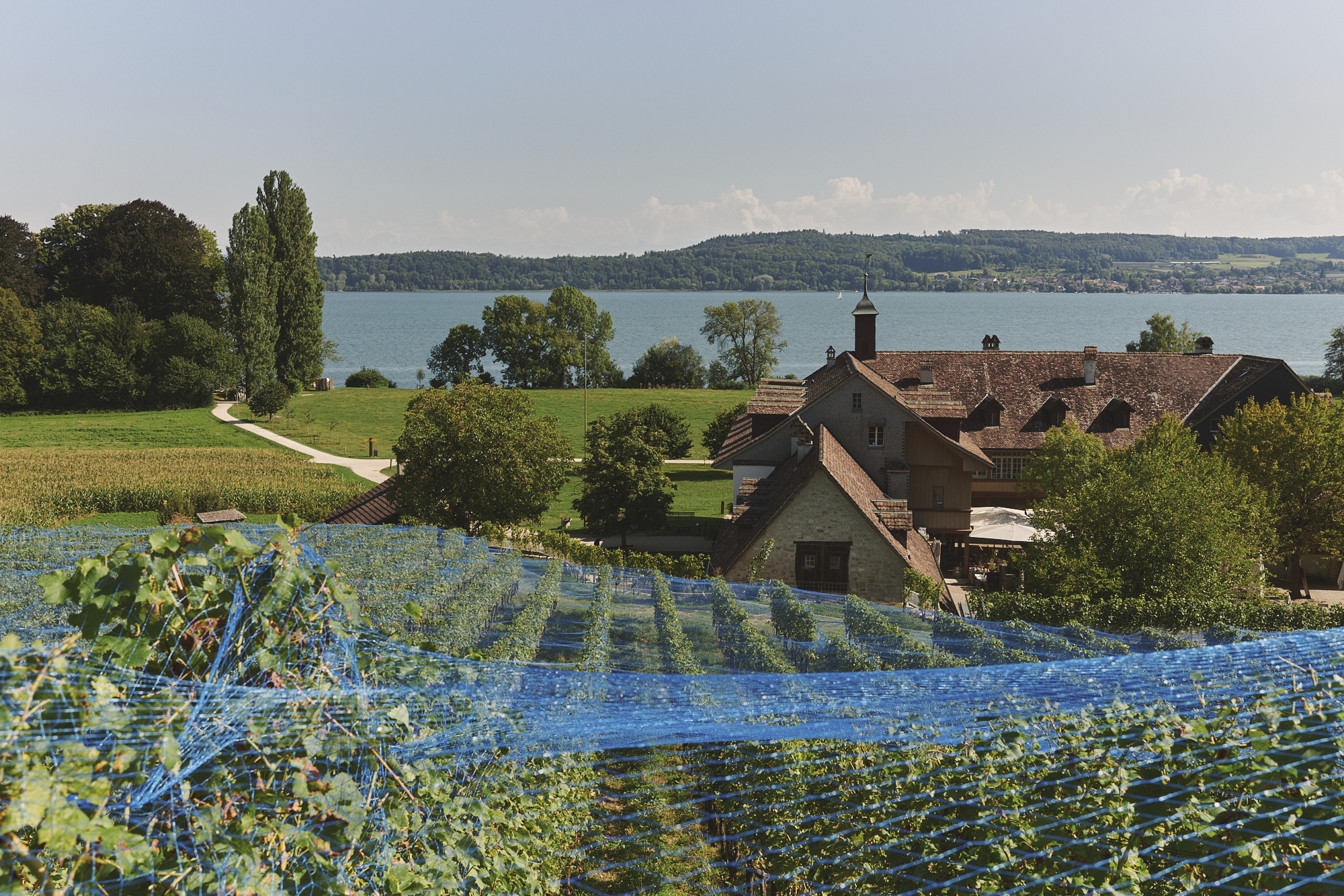 Klosterhotel St. Petersinsel