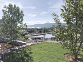 Weinterrasse Vin & Vue des Weinguts Hämmerli in Ins