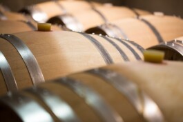 Weinfässer im Weingut Hämmerli in Ins